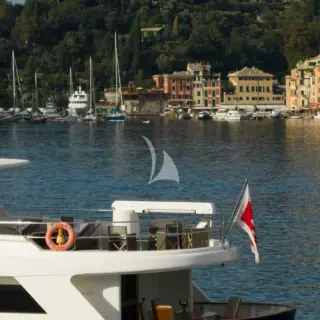 DON CIRO - Image 6