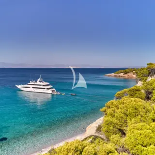 ARTEMISEA - Image 13