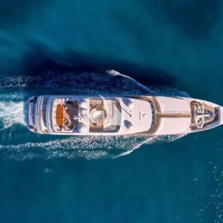 ARTEMISEA - Image 3