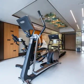 Gym and wellness suite