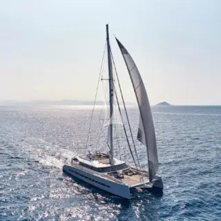 SAMELI - Image 2
