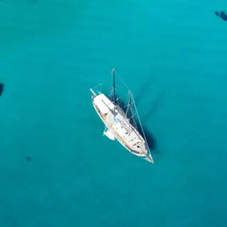 ELIANORA - Image 12