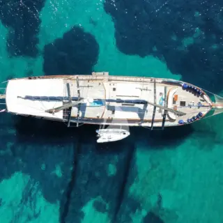ELIANORA - Image 16