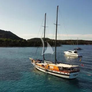 ELIANORA - Image 15
