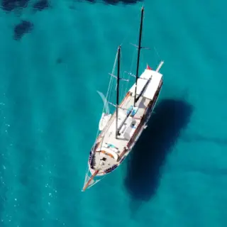 ELIANORA - Image 13