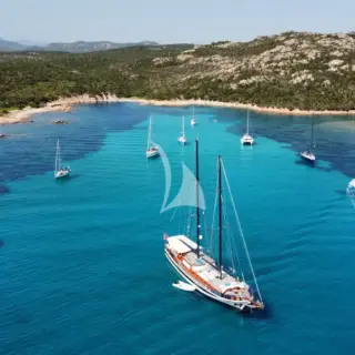 ELIANORA - Image 3