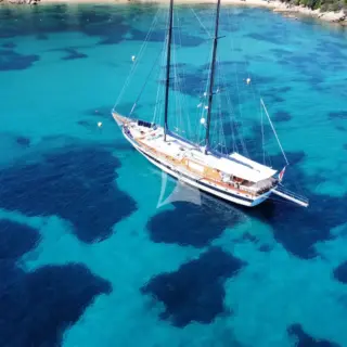 ELIANORA - Image 22