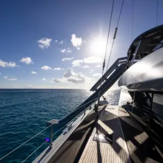 SHADES OF GREY Slide from Fly