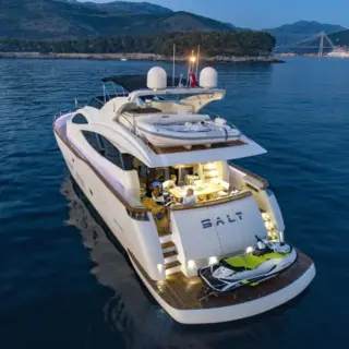 SALT - Image 4