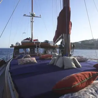 SEATZEN - Image 11