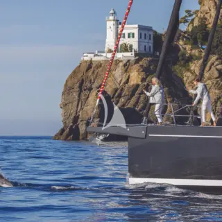 Sailing