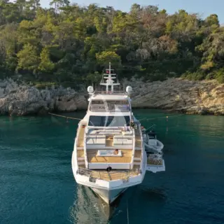 LOVE T - Bow Profile