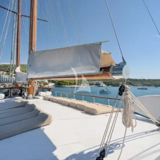 THALASSA - Image 12