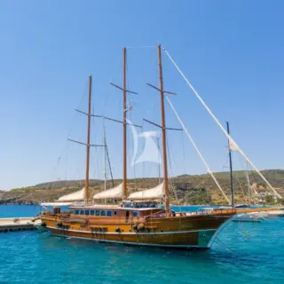 THALASSA - Image 4