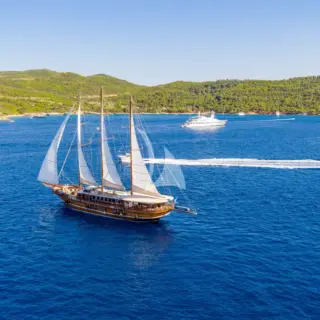 THALASSA - Image 3