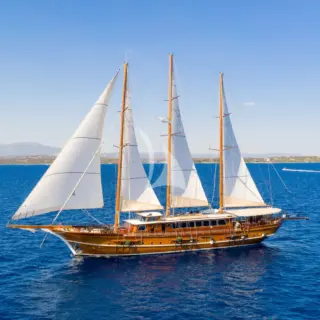 THALASSA - Image 1