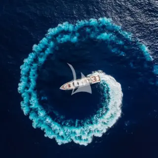 ANTELOPE IV - Image 16