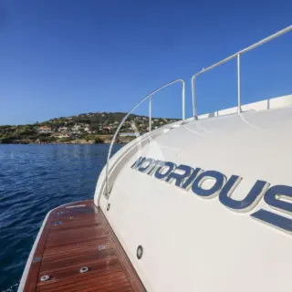 NOTORIOUS - Image 15