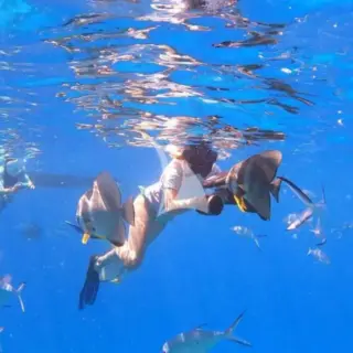 REVE2MER - lifestyle