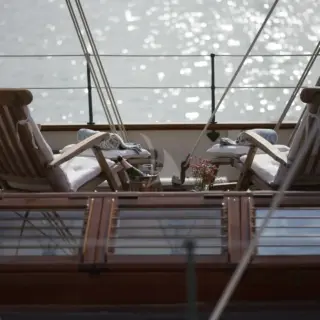 Black Swan - deck
