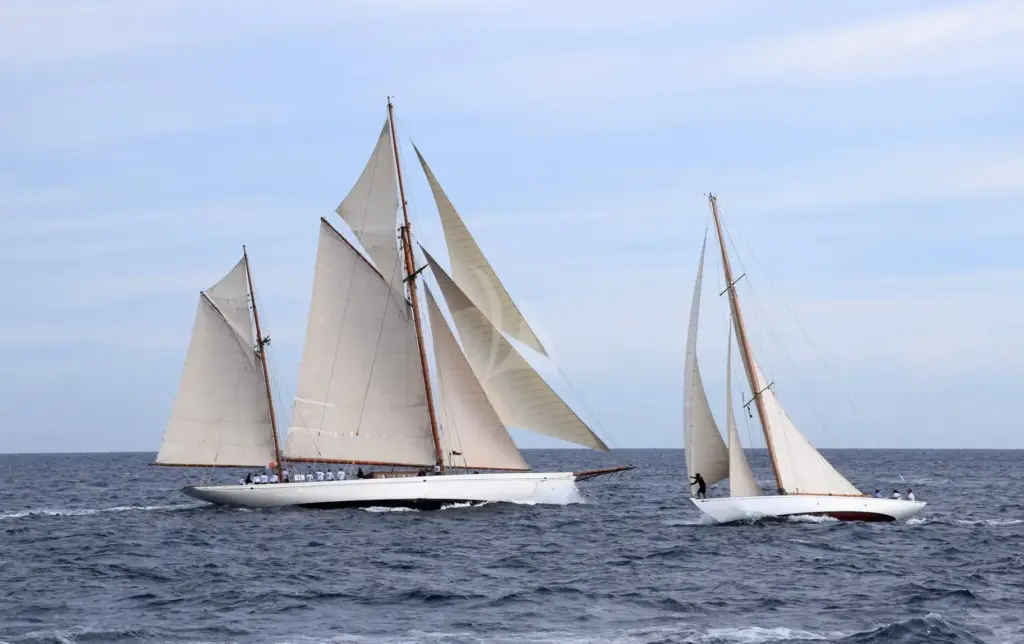 Black Swan - under sails 