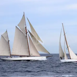Black Swan - under sails