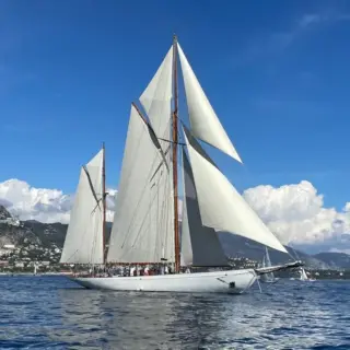 Black Swan - under sails