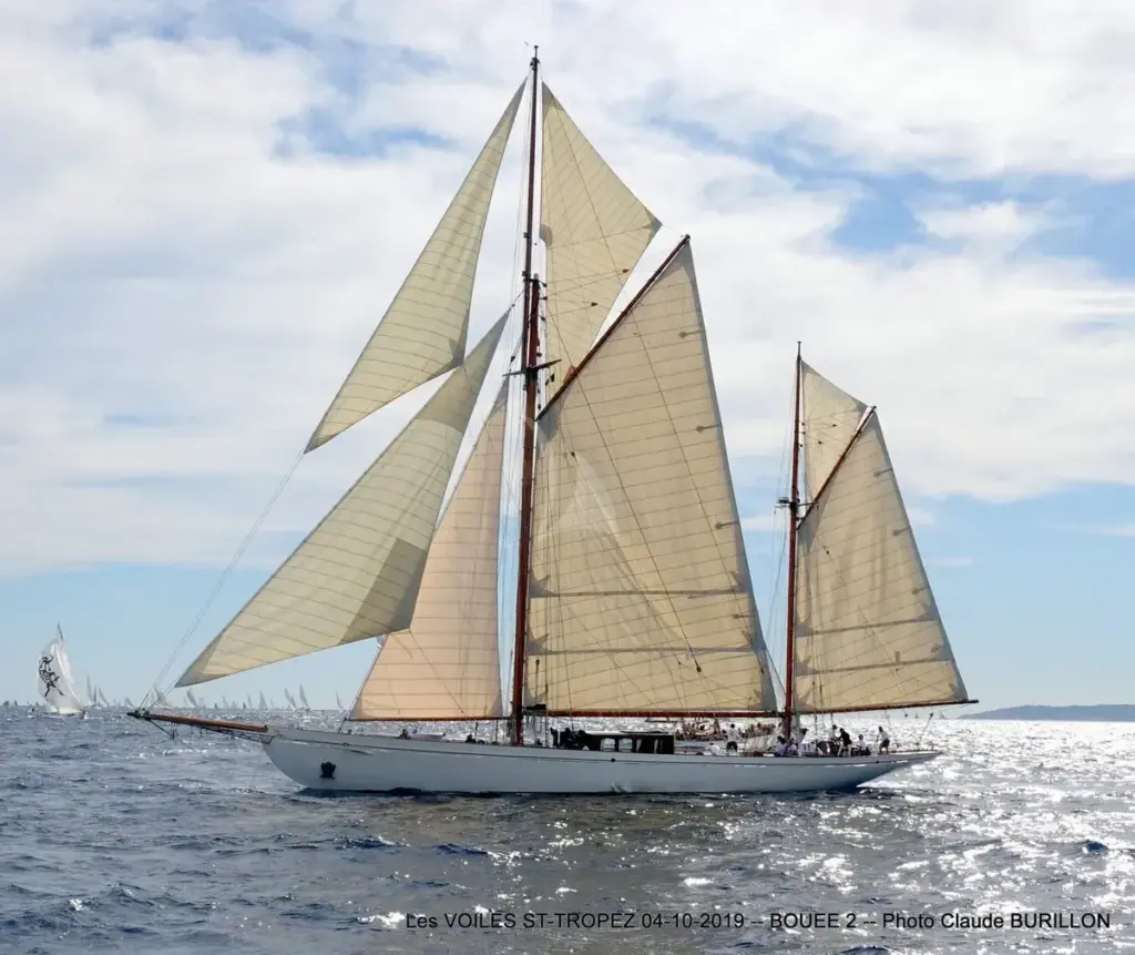 Black Swan - under sails 