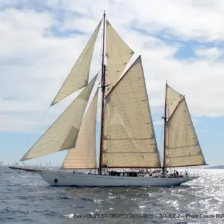 Black Swan - under sails