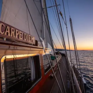 CARPE DIEM 7 - Image 6