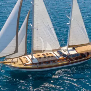 Angelica - Image 1