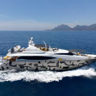 Cruising