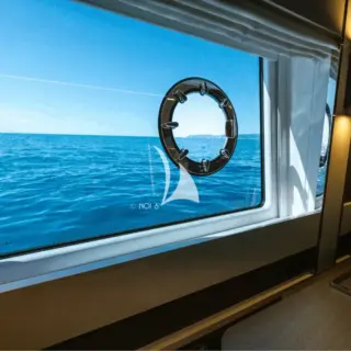 Master window