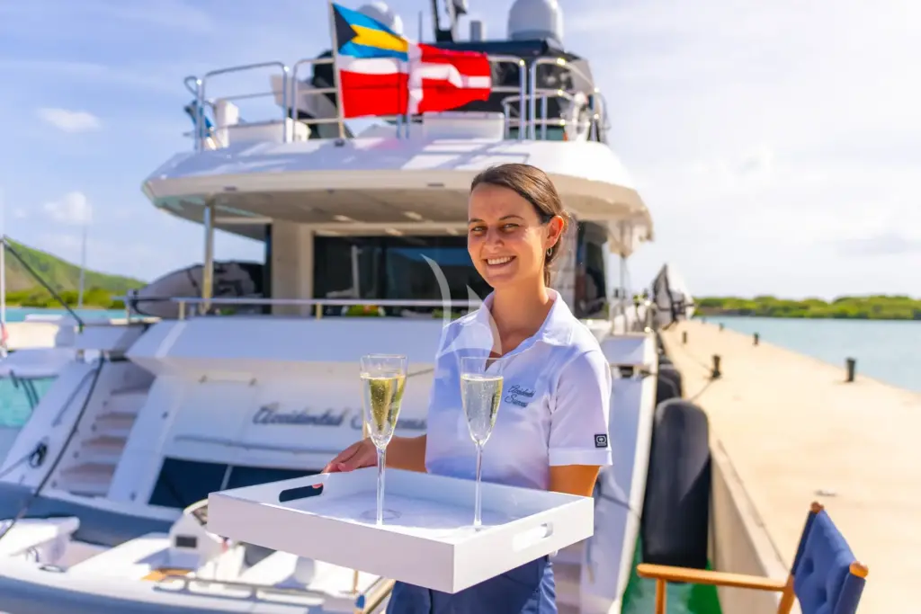 ACCIDENTAL SUCCESS II - WELCOME DRINKS