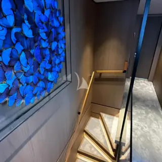 Upper Deck