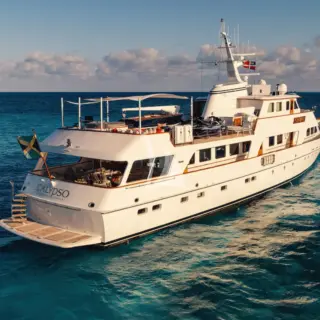 CALYPSO - Image 19