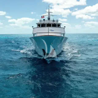 CALYPSO - Image 7