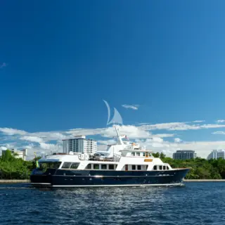 CALYPSO - Image 2
