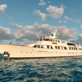 CALYPSO - Image 9