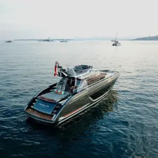 AMELIA - Image 3