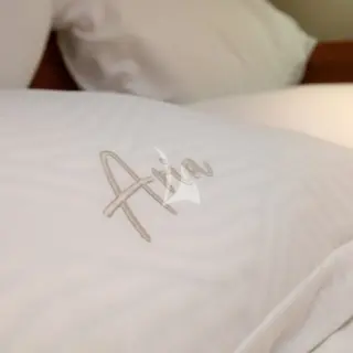 ARIA - Image 7