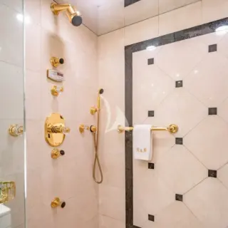 MASTER HEAD SHOWER