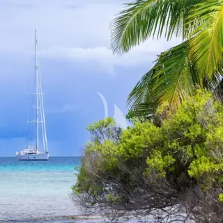 Society Islands, June 2025