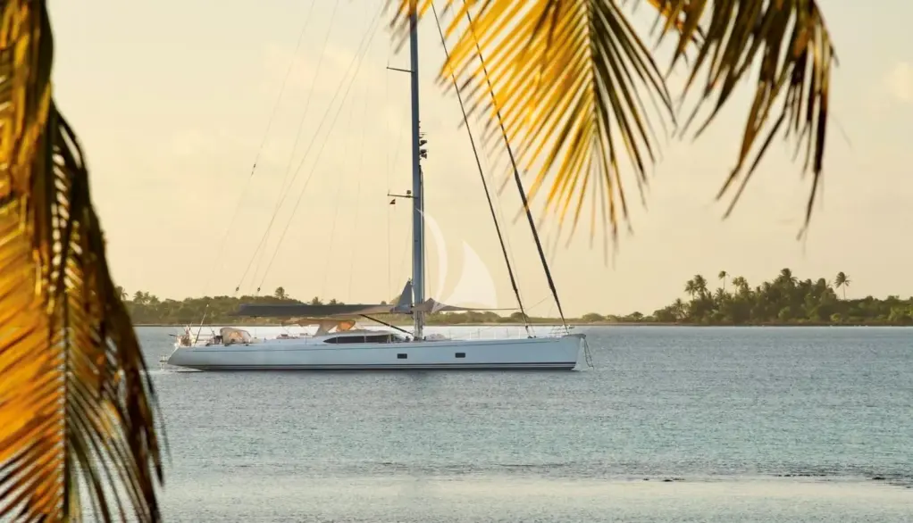 STARFALL - Society Islands, June 2025