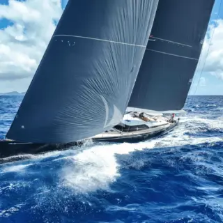 BLACK PEARL II - Image 1