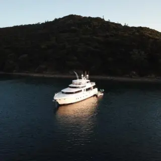 WW From A Distance