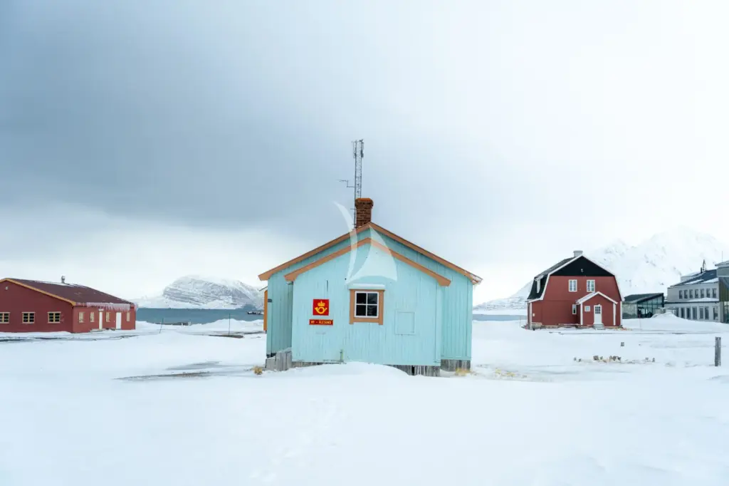 FREYA - Svalbard - Ny Alesund