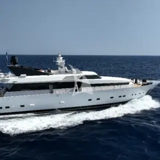 BELLINI - Image 16