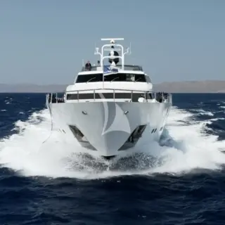 BELLINI - Image 15