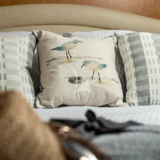 MIDNIGHT guest cabin bed